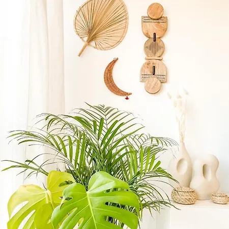 Fufu By Aloga Corcubión